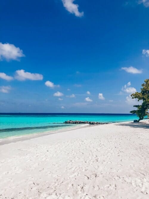 My Maldives experience at Emerald Maldives Resort & Spa 11